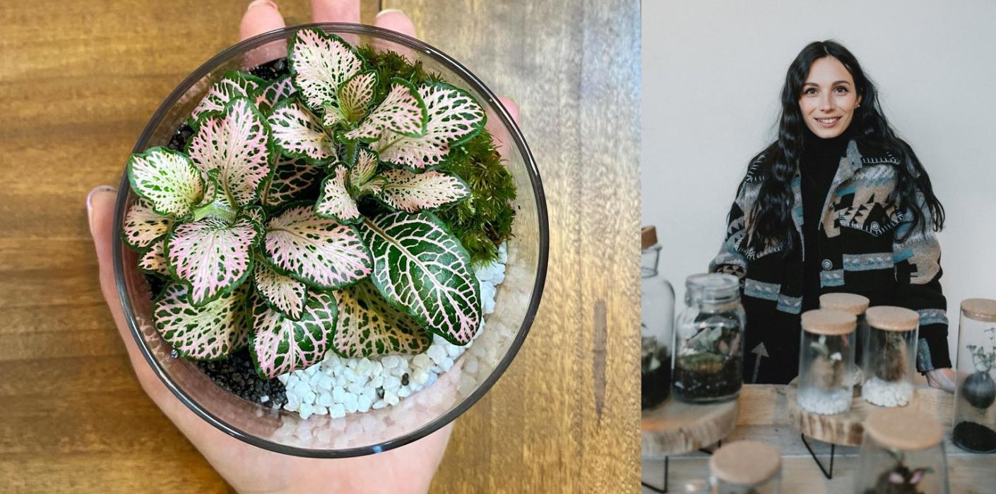 Crea il tuo terrarium