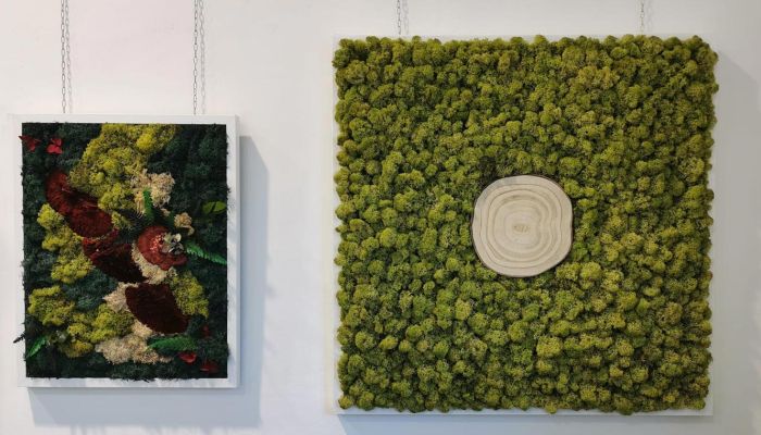 Verde da parete: crea un angolo di paradiso in casa