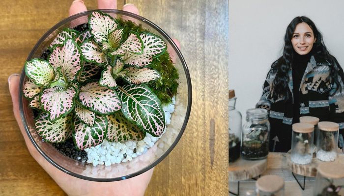 Crea il tuo terrarium