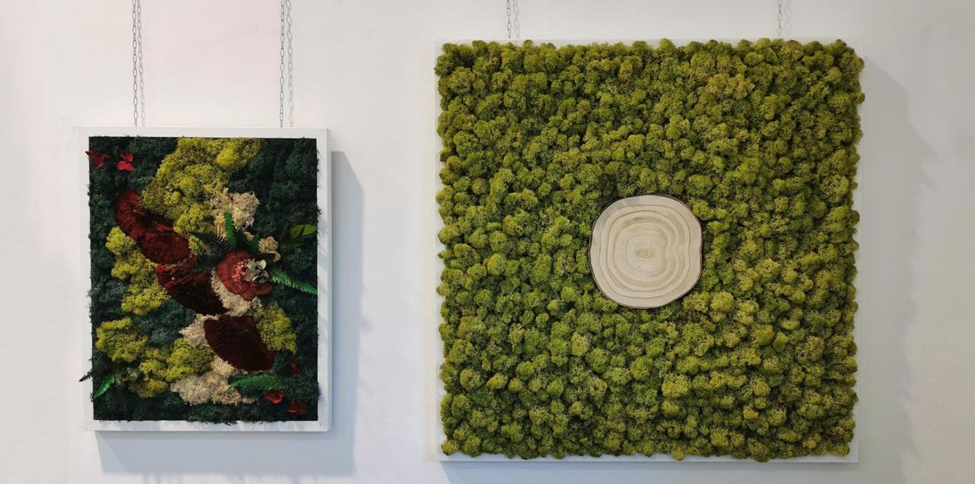 Verde da parete: crea un angolo di paradiso in casa