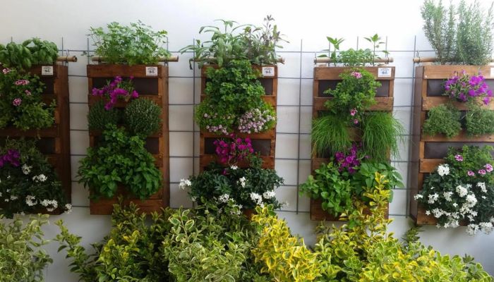 Orti verticali: crea un angolo di paradiso in casa