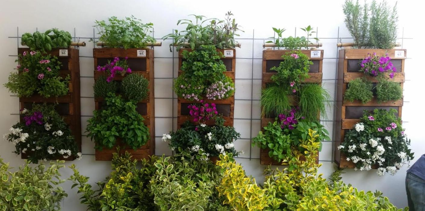 Orti verticali: crea un angolo di paradiso in casa
